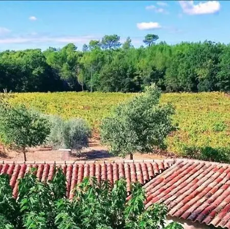 Holiday home De La Sabliere Vignoble Aixois Et Piscine Rognes